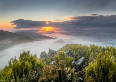 South Island Photo tour 2025